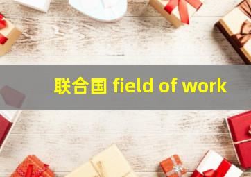 联合国 field of work